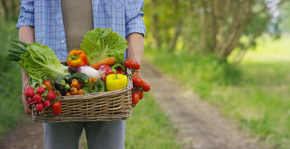 voordelen biologisch voedsel